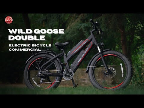 Daymak WildGoose Double | Electric Off-road Bicycle