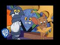 Musik og Aktiviteter i Videoen