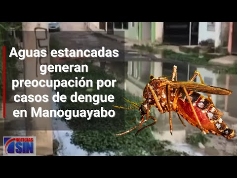 Aguas estancadas generan preocupación por casos de dengue en Manoguayabo