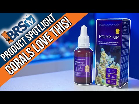 Aquaforest Polyp-Up Supercharges Coral Feeding! Looking to boost polyp extension and get your corals feeding like never before? Aquaforest Polyp Up 