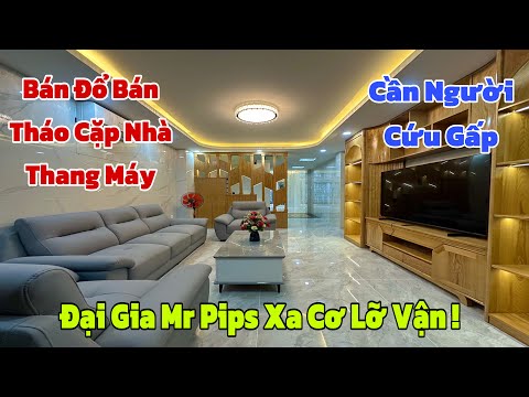 MAP ĐẤT VIỆT - MAPDATVIET.COM Đại gia MR Pips xa cơ lỡ vận , đắng cay bán tháo cặp nhà đẹp thang máy tại Cây Trâm P9 Gò Vấp