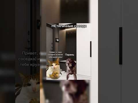 Заходи в гости на мой тгк в шапке профиля💕 #fypシ゚viral #cat #топ #рек #funny #лучшее #memes #top