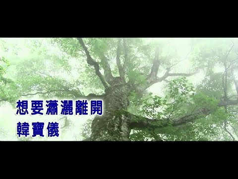 預載入圖像
