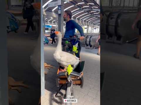 Polnischer Kulturschock am Bahnhof