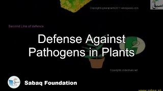 Defense Against Pathogens in Plants