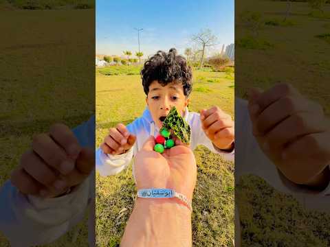 Naughty Chameleonالحرباية الشقية 🦎وا- No Way This Happened!😱🔥