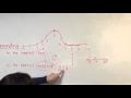 Rounding Concepts for 3rd Graders