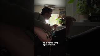 Fender Strat - How I use the whammy bar aka tremolo arm aka vibrato arm 😂