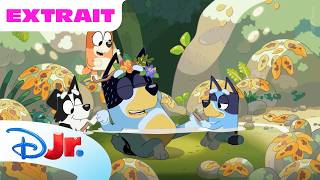 Repos en nature 🌿 Bluey Extrait | Dessin animé