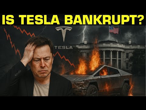 Who Will Buy Tesla When It Goes Bankrupt? CHINA'S New EV Cars