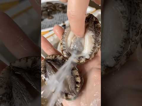 Kerang Ini Moncrot Saat Dipegang 💦