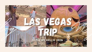 Trip to Las Vegas through the Canyons