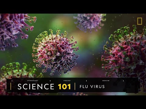 101科學教室：流感病毒《國家地理》雜誌 - YouTube(3:19)