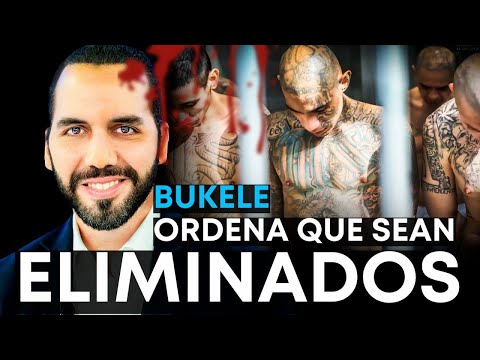 Nayib Bukele y la Liberación de Venezuela: Una Historia de Valor y Solidaridad