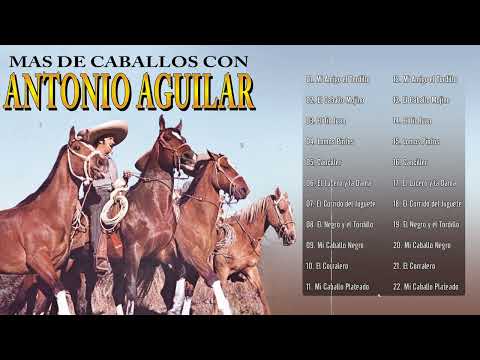 Mas De Caballos Con Antonio Aguilar  - Antonio Aguilar Caballos Famosos Mix
