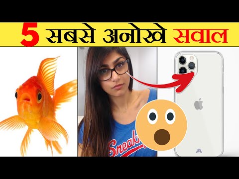 5 सबसे अनोखे सवालों का जवाब जो आप नहीं जानते 😱 | 5 Things that you're curious to know 😈| Fact Eve