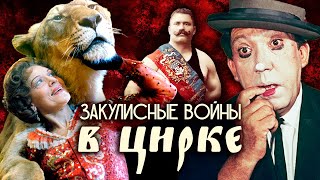 видео