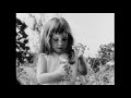 Understanding Key Concepts from the Video