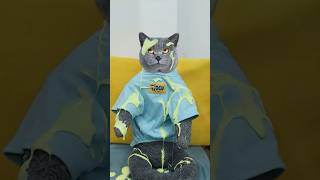 Easily Clear Your Stuffy Nose with the Magic Magnet!🤧🌬️ #funnycat #catmemes #trending