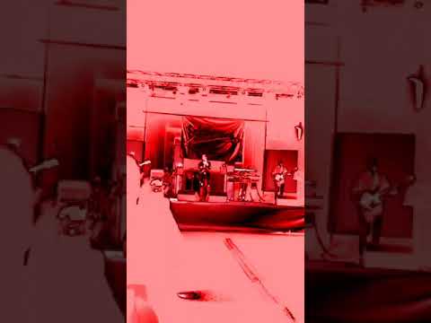 tropicodelsud-pooh-tribute-band