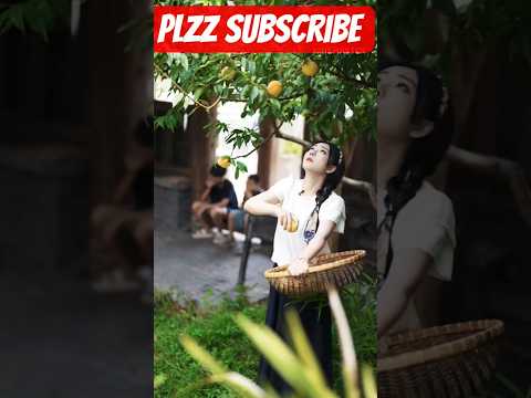 trending shorts#trending https://v.kuaishou.com/KSANSYx9 树上蝉鸣渐渐停歇了下来，我们坐