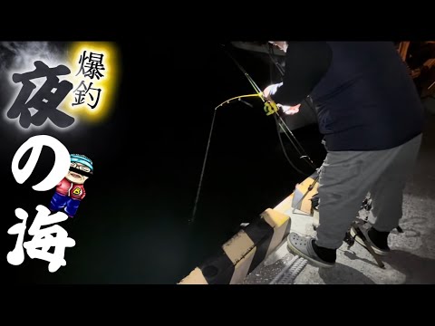 【爆釣】閖上港にあのお魚さんがご来港してきましたよー！！