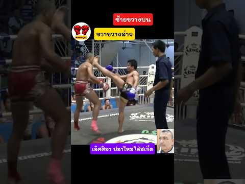 #lerdsila #คนมวยภูธร #onechampionship #onelumpinee #วันแชมป์เปี้ยนชิพ #k1 #มวย #kickboxing #mma
