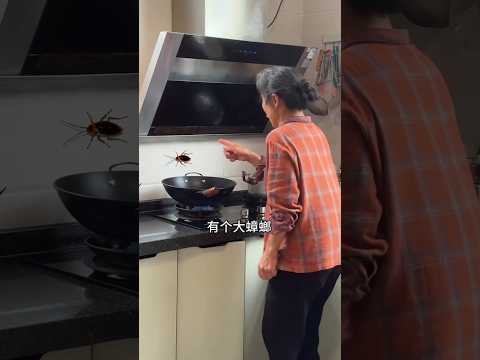 Cockroach(part-2) 😱~ mini wood toy -woodworking art skill wood / hand crafts#viral#shorts