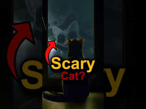 Cat Can't be Scary