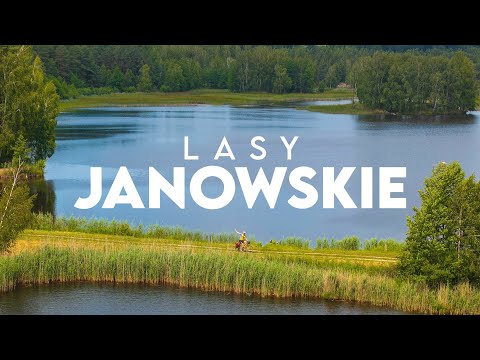 Lasy Janowskie - najlepsze leśne trasy na rower w Polsce 🚴‍♂️💨 Duże zaskoczenie!