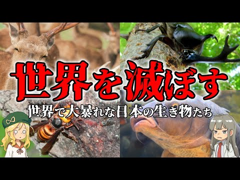 【恐るべし日本】世界で大暴れな日本の生き物５選【解説】