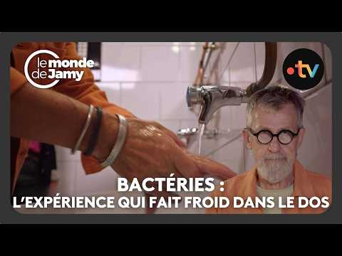 Bactéries résistantes : Comment se contamine-t-on ? - Le monde de Jamy