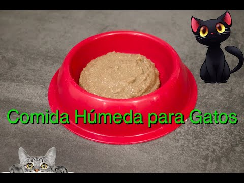 Receta para gatos, comida húmeda , dale lo mejor a tu 🐕 mascota, apto para perritos