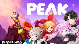 〚PEAK〛初心者たちによる山登り⛰〚 #猫ノ森ましろ 〛