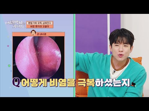 환절기 유독 심해지는 비염💧 <strong>코</strong> 건강을 돕는 '삼백초 추출물 LHF 618'✨ | 지킬박사와 가이드 200회 | JTBC 260913 방송