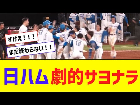 【パCS】日本ハム、劇的サヨナラ勝利で逆王手！！！！！！【なんJ反応】