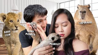 KAFE SINGA DAN CAPYBARA?!?! LUCU BANGET!!! 😍😍😍 | Vlog Thailand Klara Tania
