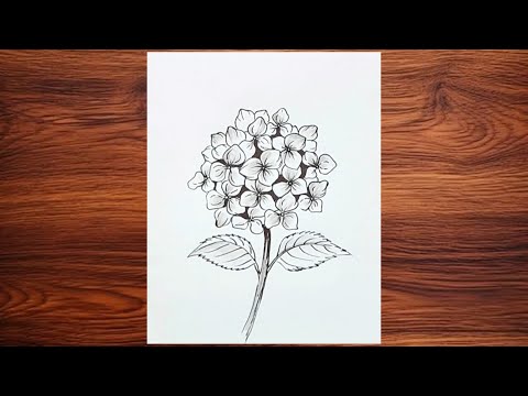 How to draw flower hydrangea | easy drawing ideas for beginners