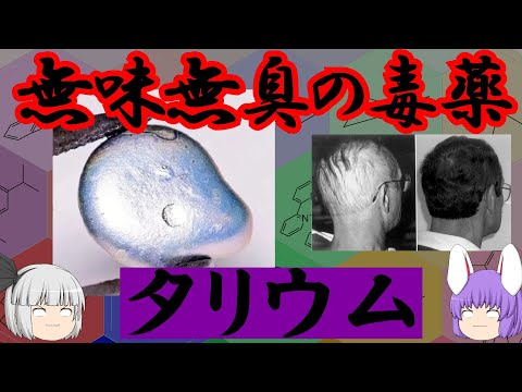 無味無臭の毒薬、タリウムの化学小話（余談だらけのゆっくり化学解説177）