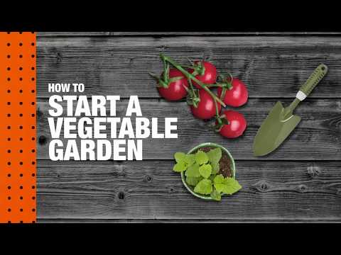 How to Start a Vegetable Garden