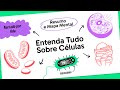 Células e Organelas: Conceitos Fundamentais