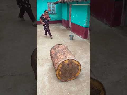 Lala lala Lori#shorts #viral #trending #funny