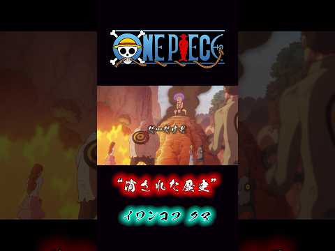 ONEPIECE “消された歴史” イワンコフ クマ #onepiece #イワンコフ #クマ #ゴッドバレー