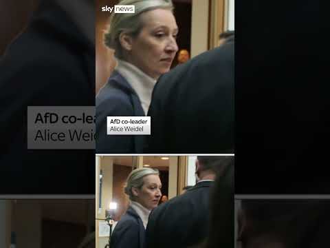 Weidel says firewall against AfD  is 'completely undemocratic'