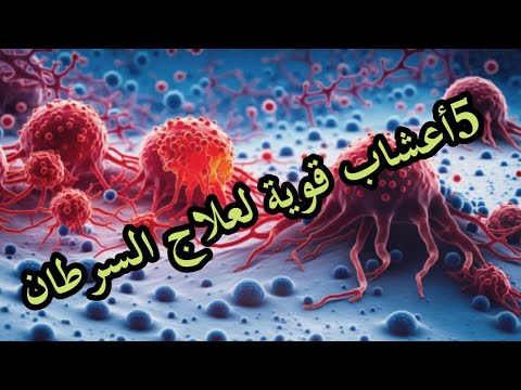 "كنوز الطبيعة الخفية: 5 أعشاب قد تكون سلاحك السري ضد السرطان"