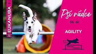 PSÍ RÁDCE 34. díl, AGILITY