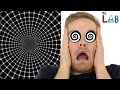Understanding Brain Assumptions and Illusions