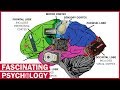 Exploring the Brain-Computer Analogy