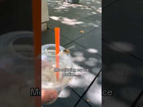 bee drinking coffee #coffee #morning #poop #funny #bees #bee #beekeeper #honeybees #meme #shorts