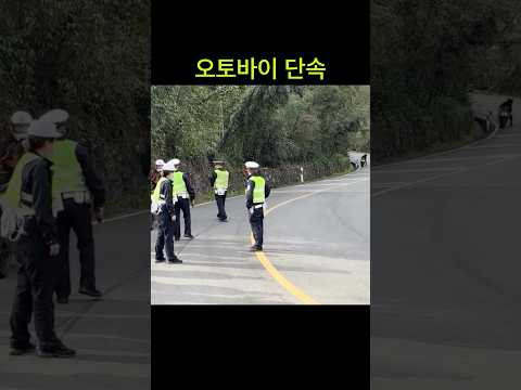 오토바이 단속